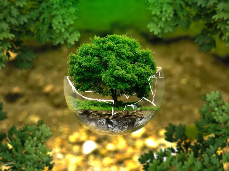 Περιβάλλον, green thinking και βιωσιμότητα