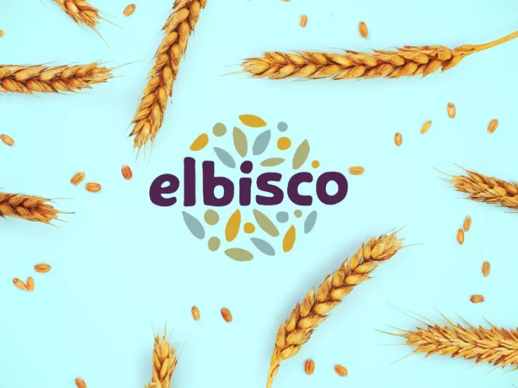 elbisco-positivitybranding