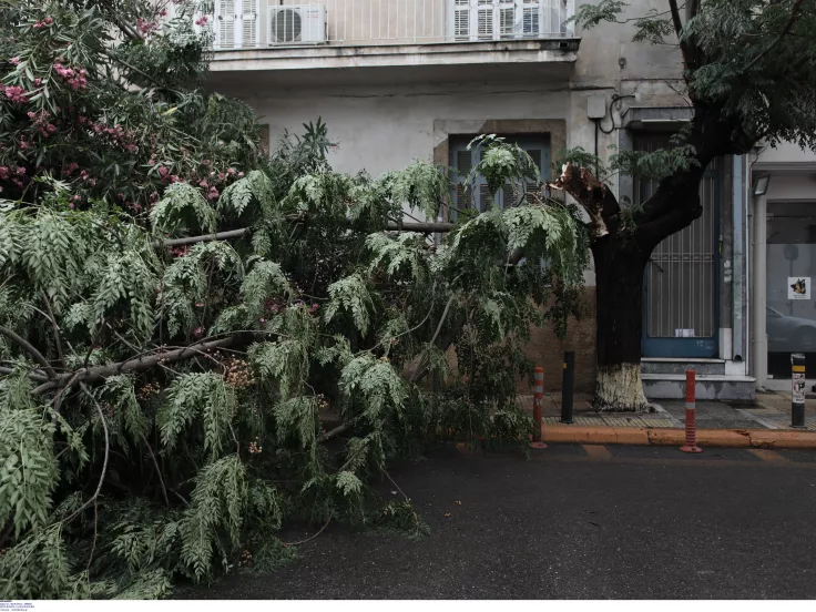 Θεσσαλονίκη / Θυελλώδεις άνεμοι έριξαν δέντρα και προκάλεσαν φθορές σε αυτοκίνητα
