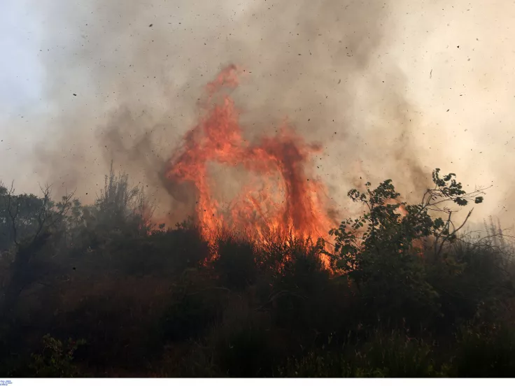Συναγερμός στην Χίο: Μεγάλη φωτιά σε δασική έκταση