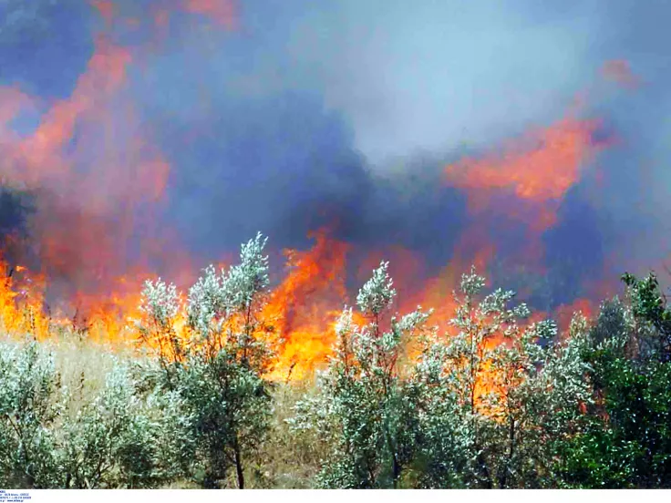 Φωτιά στην Αχαΐα: Στάχτη έγιναν σε 12 ώρες πάνω από 30.000 στρέμματα (χάρτης)