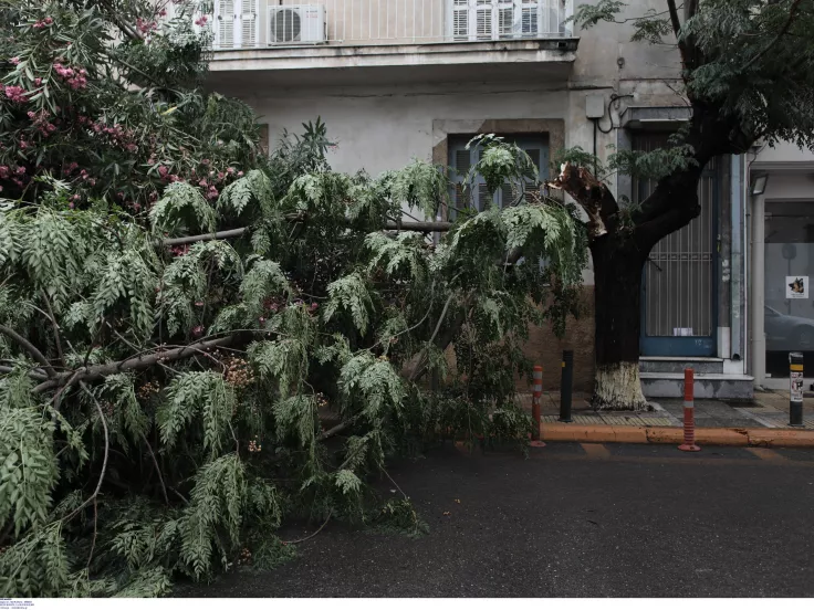 Εργατικό ατύχημα στου Παπάγου: 47χρονος καταπλακώθηκε από δέντρο