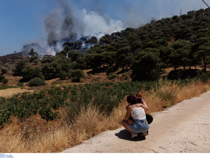 Πυρκαγιά σε χαμηλή βλάστηση στην περιοχή Πλάκα Κερατέας Αττική