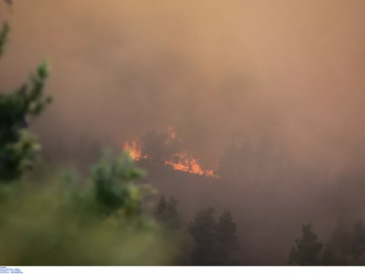 Πολύ υψηλός κίνδυνος πυρκαγιάς αύριο σε Αττική και άλλες 4 περιοχές