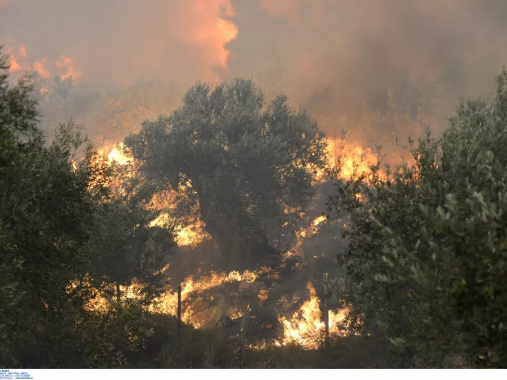 Προσοχή! Πολύ υψηλός κίνδυνος πυρκαγιάς αύριο σε 3 περιφέρειες