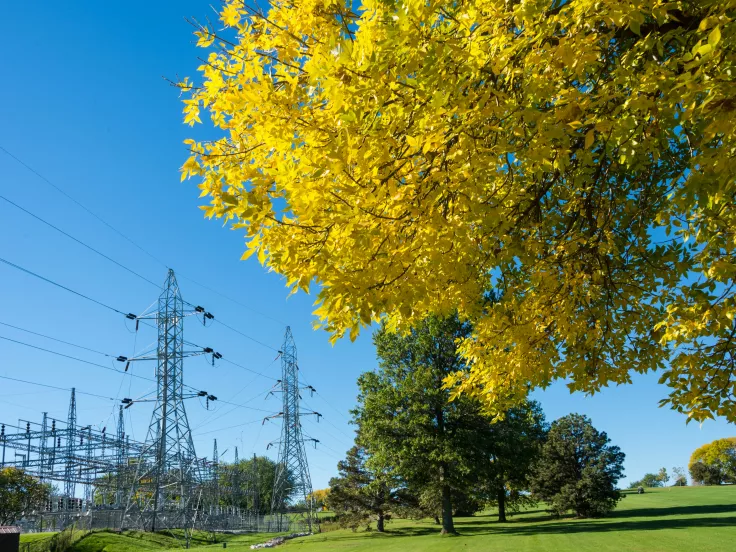 Θέσεις εργασίας στον ΔΕΔΔΗΕ