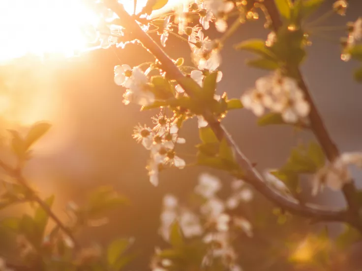 Άνοιξη Spring