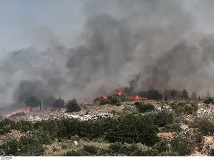 Πυρασφάλεια: Προσλήψεις στον Δήμο Δάφνης - Υμηττού