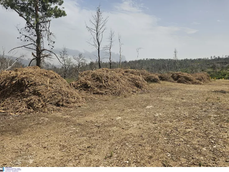 Ακαθάριστα οικόπεδα
