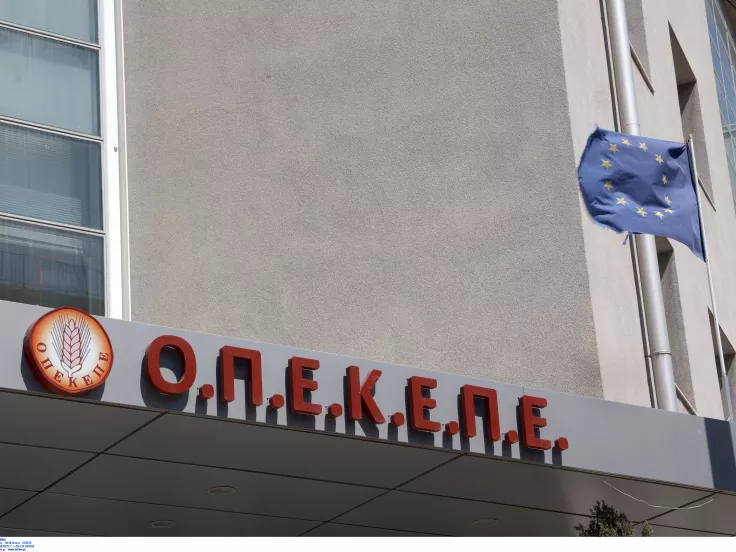 ΟΠΕΚΕΠΕ: Πρώτη σύλληψη στη Φλώρινα - Κτηνοτρόφος έπαιρνε λεφτά για ζώα που δεν είχε