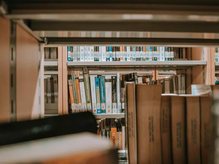 πανεπιστήμιο