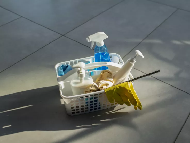 Σχολικοί καθαριστές