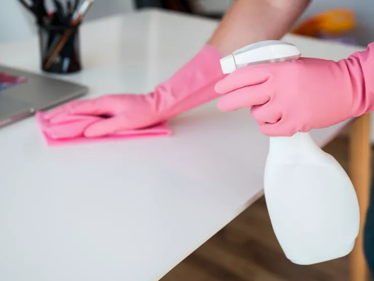 Σχολικοί καθαριστές