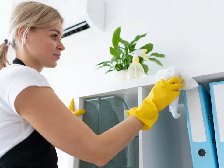 Σχολικοί καθαριστές