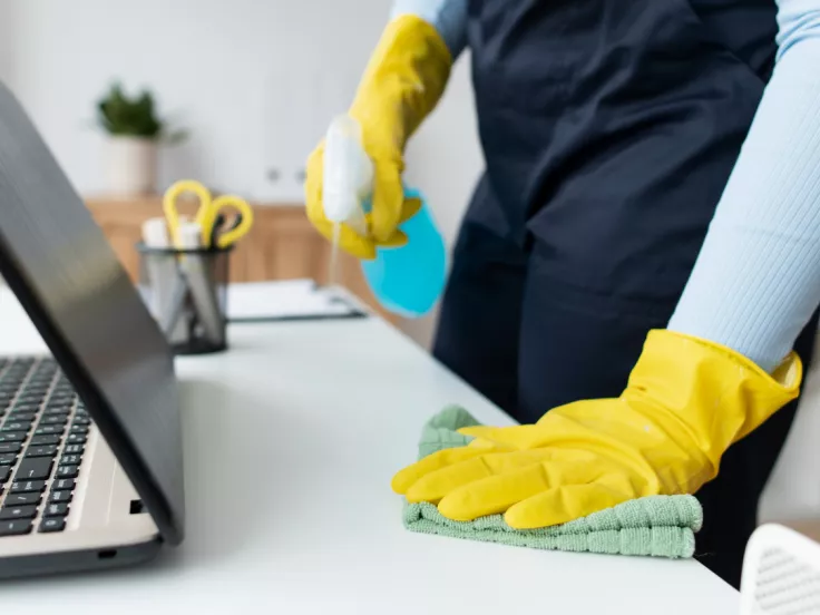 Σχολικοί καθαριστές