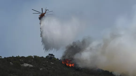 Φωτιά τώρα στη Σαλαμίνα: Ήχησε το 112