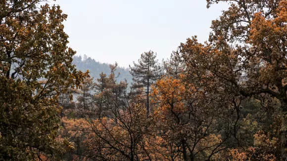 Ανακοινώθηκε η φετινή κυνηγετική περίοδος - Τι αλλάζει