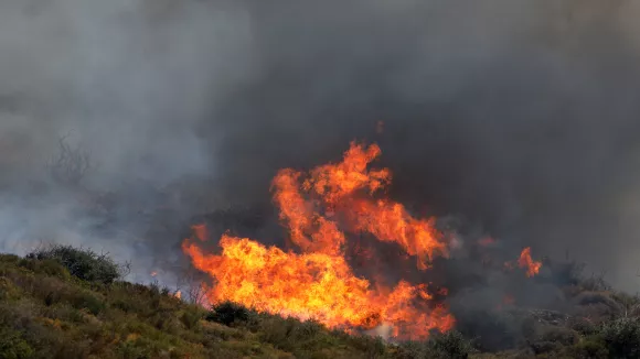 Πυρκαγιά τώρα στην Εύβοια: Ζητήθηκε η συνδρομή εναέριων μέσων