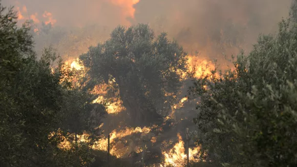 Προσοχή! Πολύ υψηλός κίνδυνος πυρκαγιάς αύριο σε 3 περιφέρειες