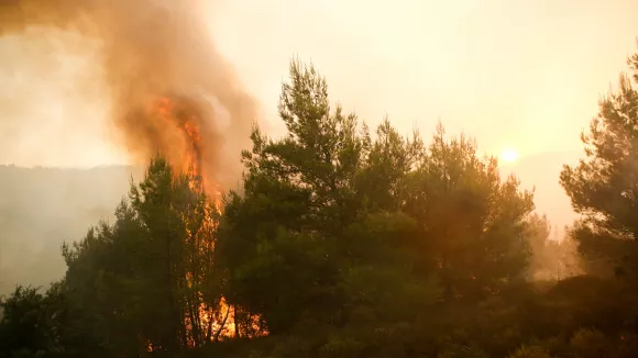 Φωτιά τώρα στον Βαρνάβα Αττικής: Επιχειρεί και ελικόπτερο