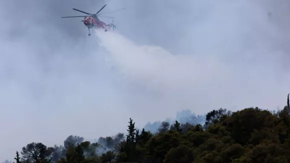 ΛΙΑΚΟΣ ΓΙΑΝΝΗΣ