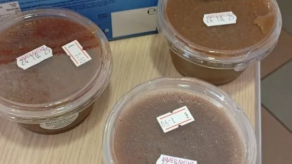 μουσταλευριά