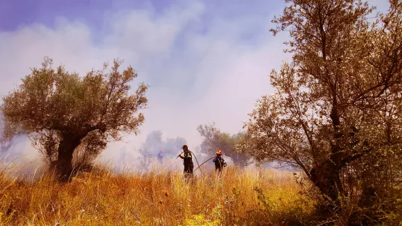 Πληγέντες από φετινές πυρκαγιές