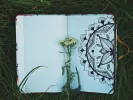 diary, ημερολόγιο, τετράδιο, λουλούδι, φύση, γκαζόν, χορτάρι
