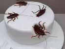 Τούρτα με κατσαρίδες