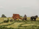 Φάρμα και αγροτικές ειδήσεις