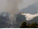 Πυρκαγιά τώρα στις Αφίδνες Αττικής - «Σηκώθηκαν» και εναέρια μέσα