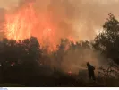 Καιρός «Hot, Dry, Windy»: Επικίνδυνος καιρός ακόμα και για mega fires