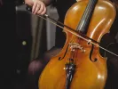 cello