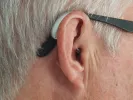 Αυτιά Ears