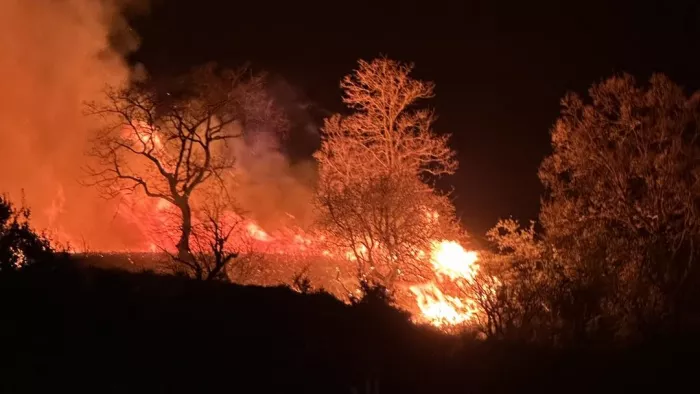 φωτιά στον Ταΰγετο