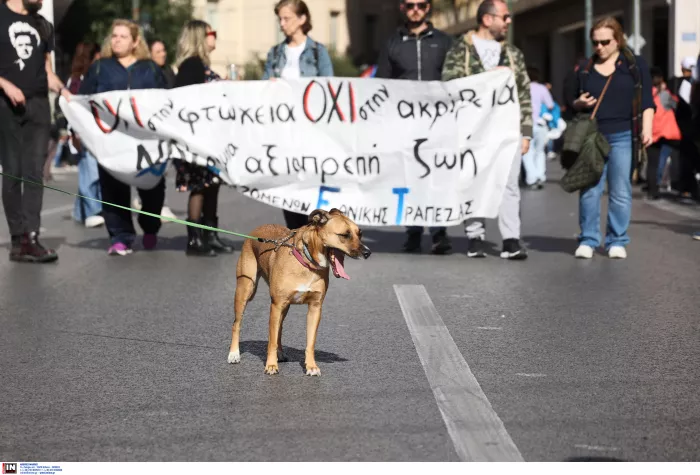 Γενική απεργία