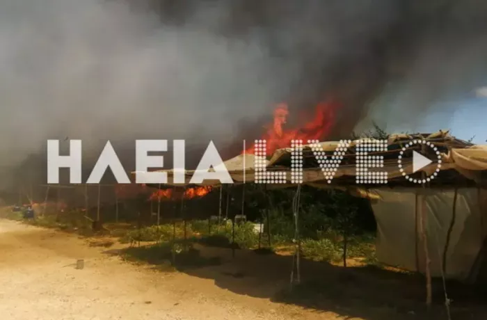 Φωτιά στην Ηλεία