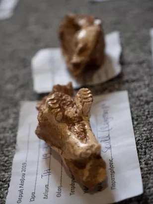 απολιθωμένα οστά ζώων που έζησαν στη Λέσβο πριν από 2 εκατ. χρόνια