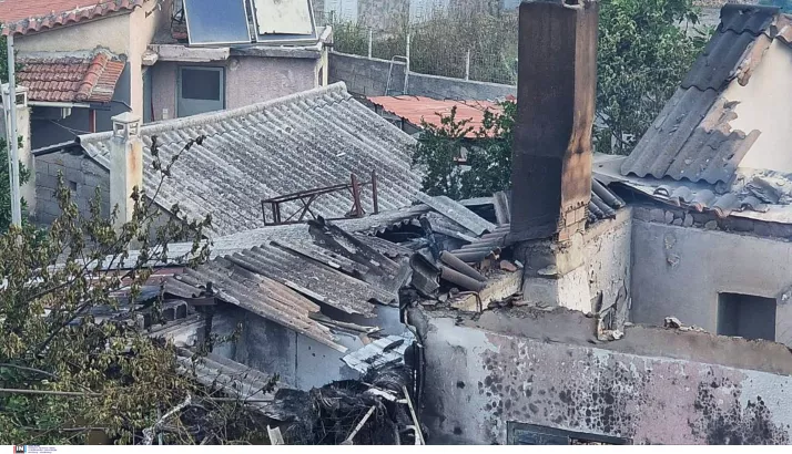 Φωτιές σε Ηλεία και Αχαΐα: Θλιβερές εικόνες με καμένα σπίτια, νεκρά ζώα, χωριά χωρίς νερό
