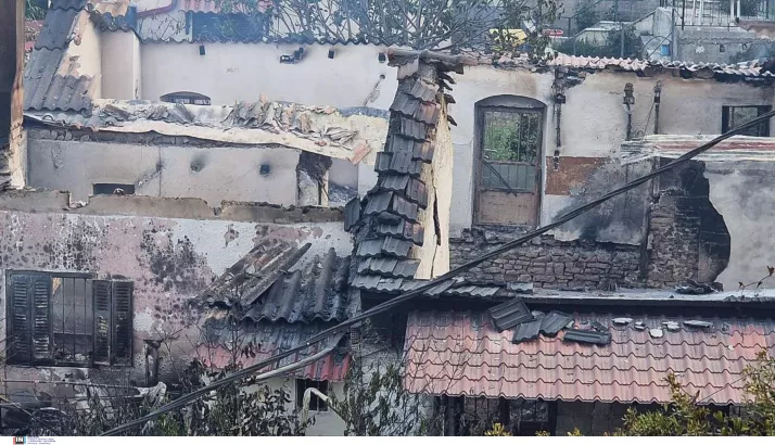Φωτιές σε Ηλεία και Αχαΐα: Θλιβερές εικόνες με καμένα σπίτια, νεκρά ζώα, χωριά χωρίς νερό