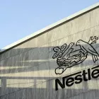 nestle