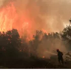 Καιρός «Hot, Dry, Windy»: Επικίνδυνος καιρός ακόμα και για mega fires